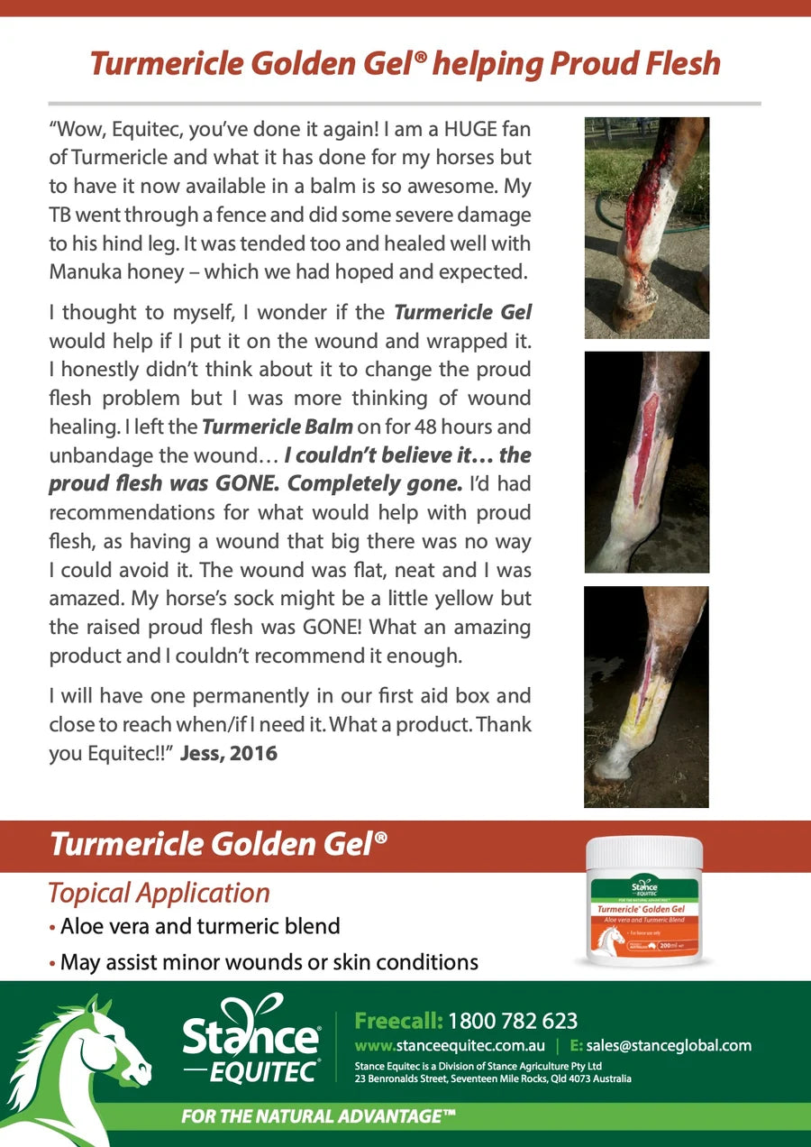 Turmericle Golden Gel