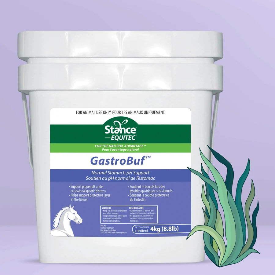 GastroBuf