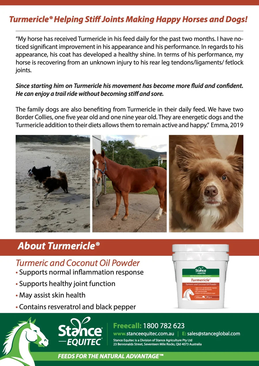 Turmericle