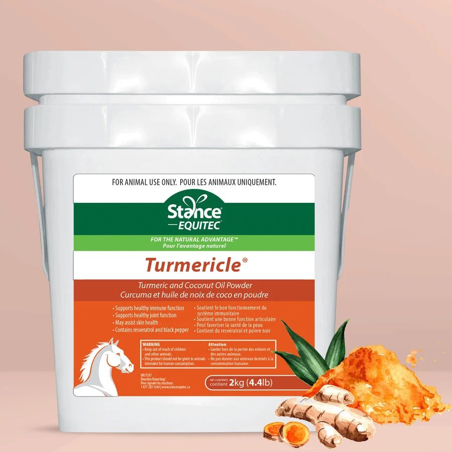 Turmericle