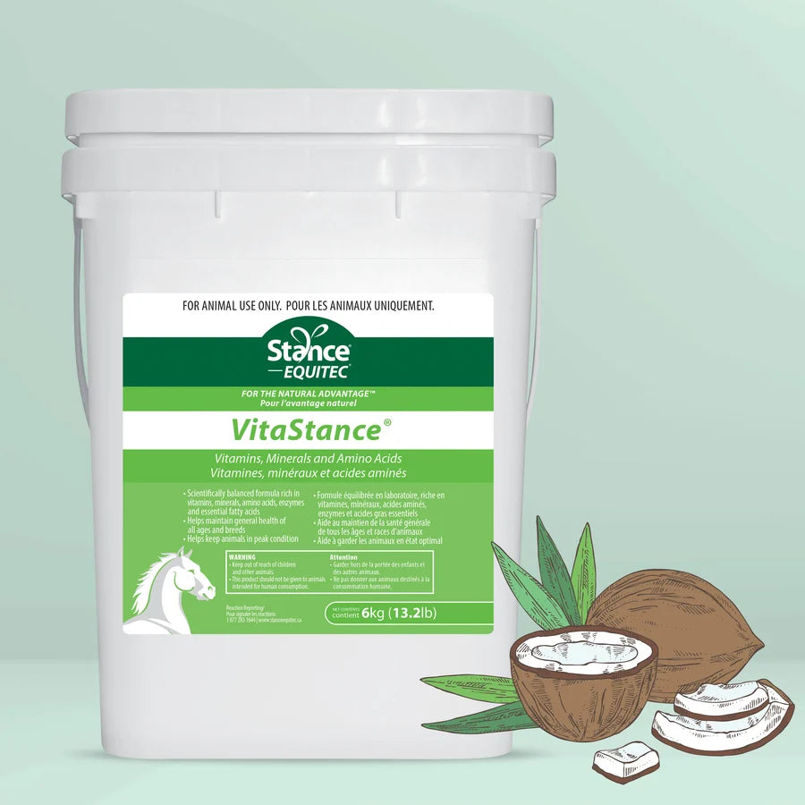 VitaStance