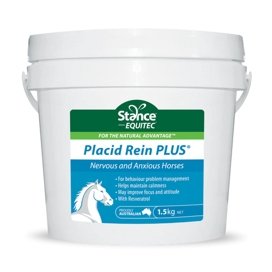 Placid Rein PLUS